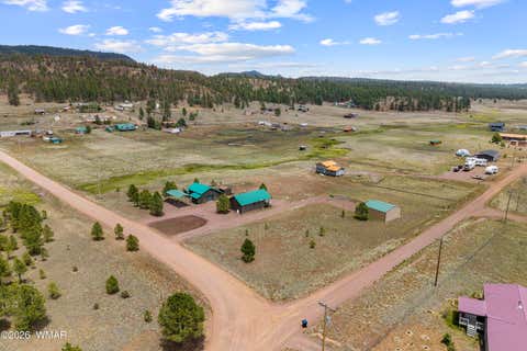 Tiny photo for 6 County Road 2099, Alpine, AZ 85920 (MLS # 261558)