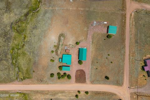 Tiny photo for 6 County Road 2099, Alpine, AZ 85920 (MLS # 261558)