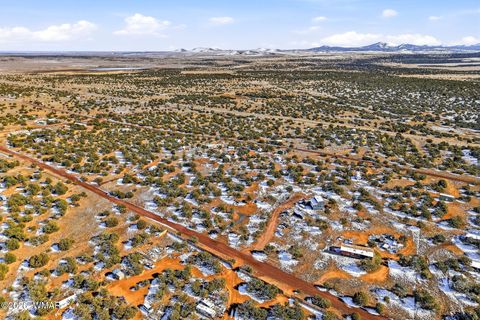 Tiny photo for 18 CR 8021, Concho, AZ 85924 (MLS # 259363)