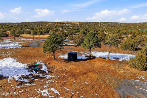 Tiny photo for 18 CR 8021, Concho, AZ 85924 (MLS # 259363)