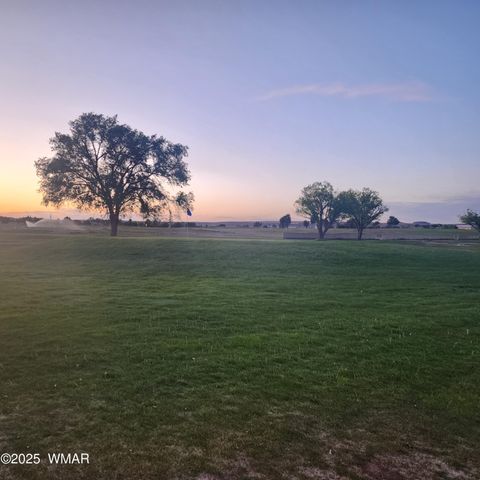 Tiny photo for 2642 Foothill Circle, Snowflake, AZ 85937 (MLS # 256192)