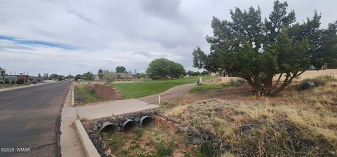 Tiny photo for 2642 Foothill Circle, Snowflake, AZ 85937 (MLS # 256192)