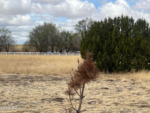 Photo of TBD W Highway 60, Springerville, AZ 85938 (MLS # 255815)