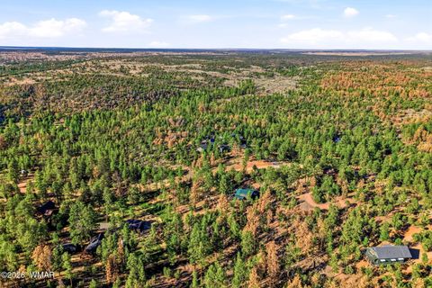 Tiny photo for 2371 Florian Meadow Trail, Overgaard, AZ 85933 (MLS # 260220)