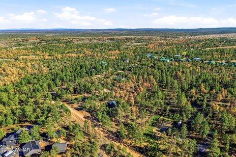 Tiny photo for 2371 Florian Meadow Trail, Overgaard, AZ 85933 (MLS # 260220)