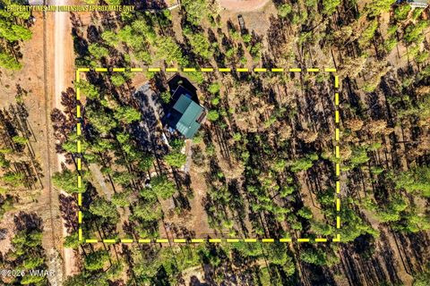 Tiny photo for 2371 Florian Meadow Trail, Overgaard, AZ 85933 (MLS # 260220)