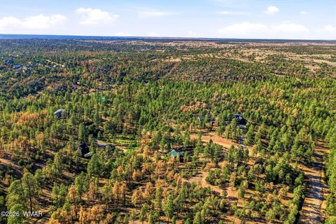 Tiny photo for 2371 Florian Meadow Trail, Overgaard, AZ 85933 (MLS # 260220)