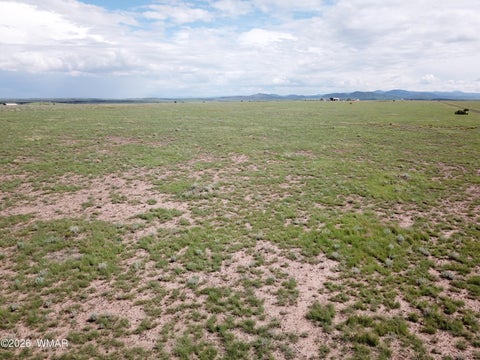 Tiny photo for 75 5130 Osage ln, Concho, AZ 85924 (MLS # 262837)