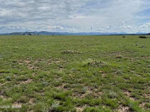 Tiny photo for 75 5130 Osage ln, Concho, AZ 85924 (MLS # 262837)