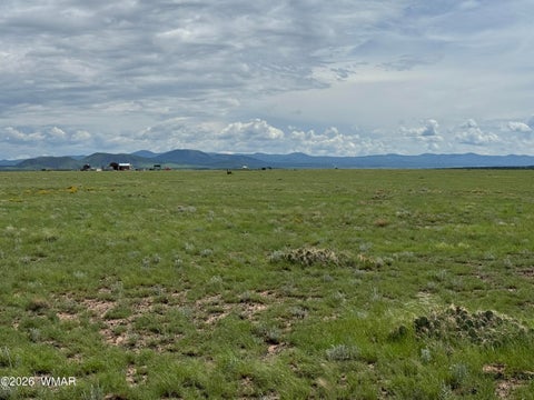 Tiny photo for 75 5130 Osage ln, Concho, AZ 85924 (MLS # 262837)