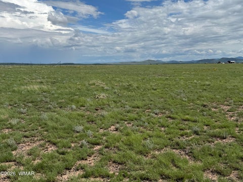Tiny photo for 75 5130 Osage ln, Concho, AZ 85924 (MLS # 262837)