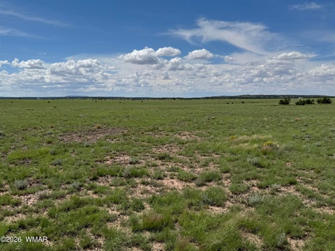 Tiny photo for 75 5130 Osage ln, Concho, AZ 85924 (MLS # 262837)