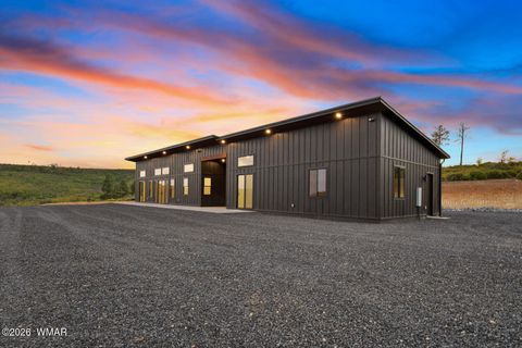 Tiny photo for 491 Fieldy Road, Show Low, AZ 85901 (MLS # 261333)