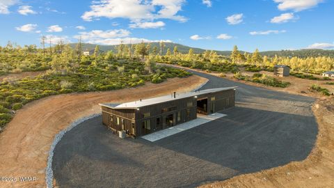 Tiny photo for 491 Fieldy Road, Show Low, AZ 85901 (MLS # 261333)