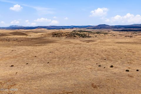 Tiny photo for 000 TBD, Greer, AZ 85927 (MLS # 258716)