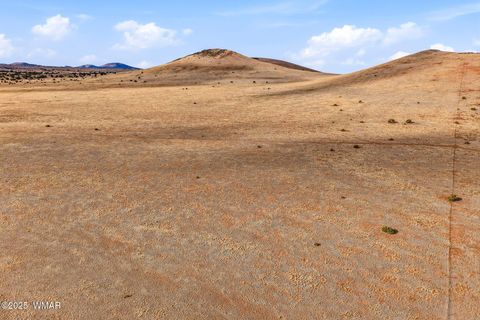 Tiny photo for 000 TBD, Greer, AZ 85927 (MLS # 258716)