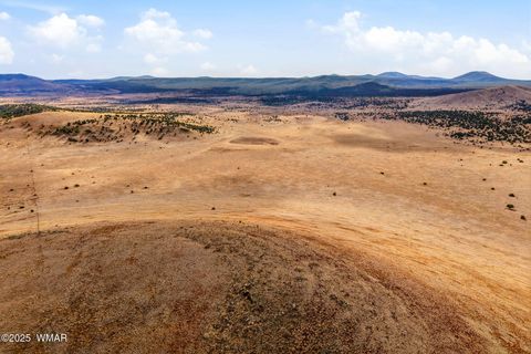 Tiny photo for 000 TBD, Greer, AZ 85927 (MLS # 258716)