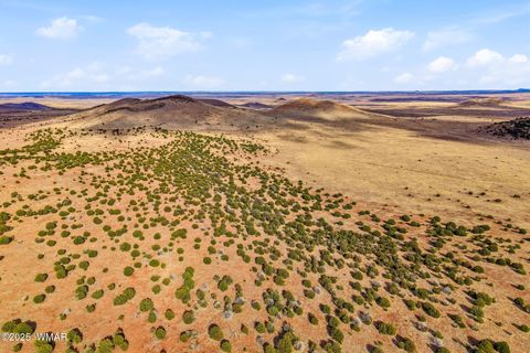 Tiny photo for 000 TBD, Greer, AZ 85927 (MLS # 258716)