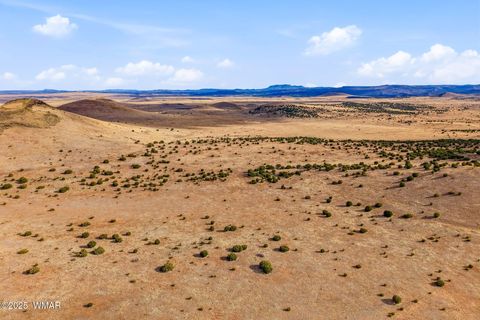 Tiny photo for 000 TBD, Greer, AZ 85927 (MLS # 258716)