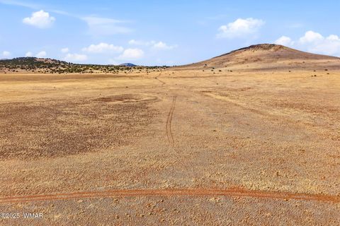 Tiny photo for 000 TBD, Greer, AZ 85927 (MLS # 258716)