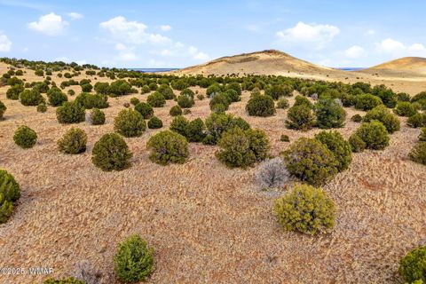 Tiny photo for 000 TBD, Greer, AZ 85927 (MLS # 258716)