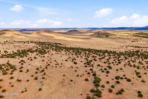 Tiny photo for 000 TBD, Greer, AZ 85927 (MLS # 258716)