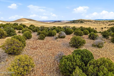 Tiny photo for 000 TBD, Greer, AZ 85927 (MLS # 258716)