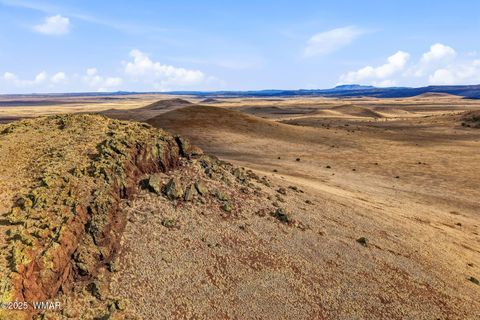 Tiny photo for 000 TBD, Greer, AZ 85927 (MLS # 258716)