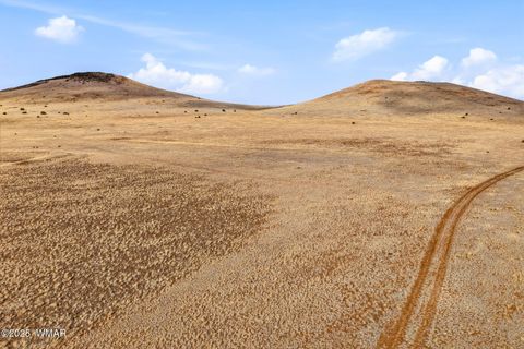 Tiny photo for 000 TBD, Greer, AZ 85927 (MLS # 258716)