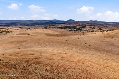 Tiny photo for 000 TBD, Greer, AZ 85927 (MLS # 258716)