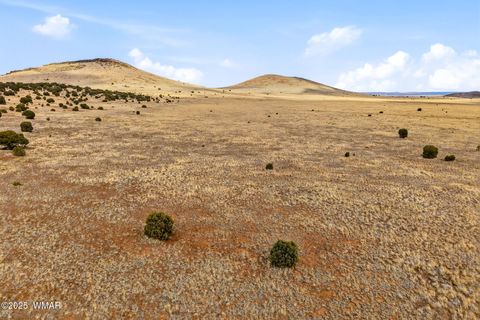 Tiny photo for 000 TBD, Greer, AZ 85927 (MLS # 258716)