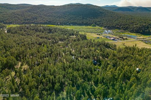 Tiny photo for 9 N1064, Greer, AZ 85927 (MLS # 260820)