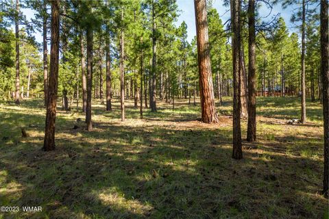 Tiny photo for 9 N1064, Greer, AZ 85927 (MLS # 260820)