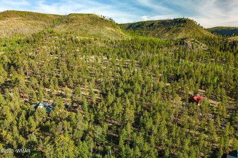 Tiny photo for 9 N1064, Greer, AZ 85927 (MLS # 260820)