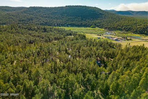 Tiny photo for 9 N1064, Greer, AZ 85927 (MLS # 260820)