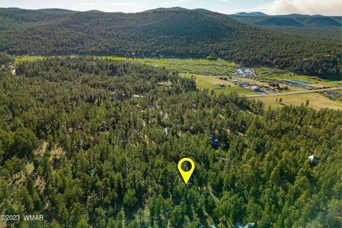 Tiny photo for 9 N1064, Greer, AZ 85927 (MLS # 260820)