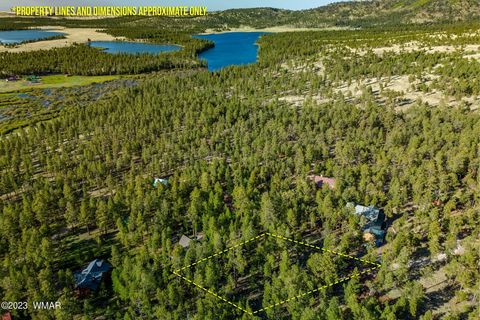Tiny photo for 9 N1064, Greer, AZ 85927 (MLS # 260820)