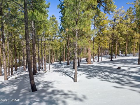 Tiny photo for 9 N1064, Greer, AZ 85927 (MLS # 260820)