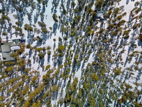 Tiny photo for 9 N1064, Greer, AZ 85927 (MLS # 260820)