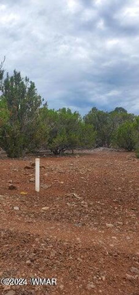 Photo of 6 County Road, Vernon, AZ 85940 (MLS # 254027)