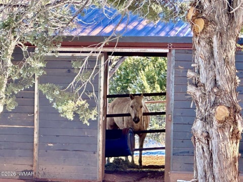 Tiny photo for 7056 Bustin Dutch Trail, Show Low, AZ 85901 (MLS # 261113)