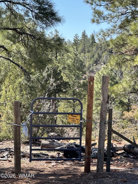 Tiny photo for 7056 Bustin Dutch Trail, Show Low, AZ 85901 (MLS # 261113)