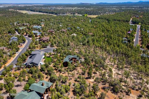 Tiny photo for 745 E New Pine Way, Show Low, AZ 85901 (MLS # 260872)