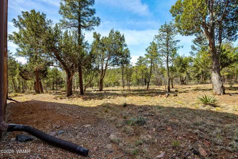 Tiny photo for 745 E New Pine Way, Show Low, AZ 85901 (MLS # 260872)