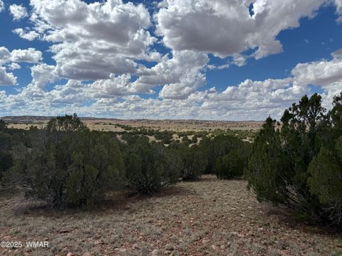 Tiny photo for TBD Falcon Drive, Taylor, AZ 85939 (MLS # 257999)