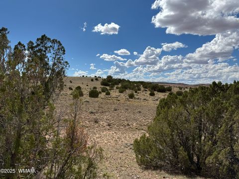 Tiny photo for TBD Falcon Drive, Taylor, AZ 85939 (MLS # 257999)