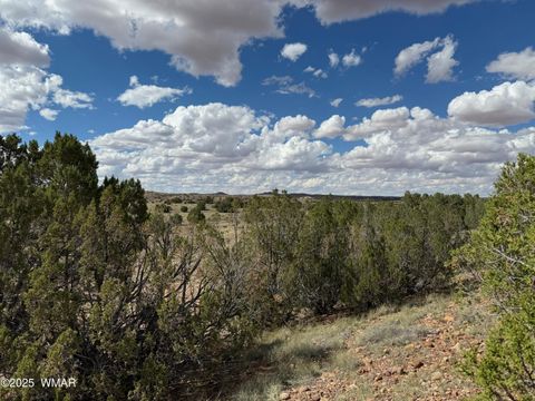 Tiny photo for TBD Falcon Drive, Taylor, AZ 85939 (MLS # 257999)
