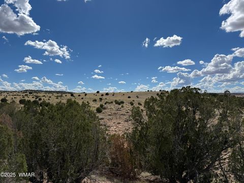 Tiny photo for TBD Falcon Drive, Taylor, AZ 85939 (MLS # 257999)