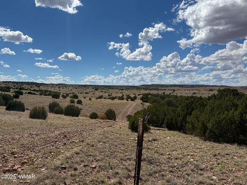 Tiny photo for TBD Falcon Drive, Taylor, AZ 85939 (MLS # 257999)