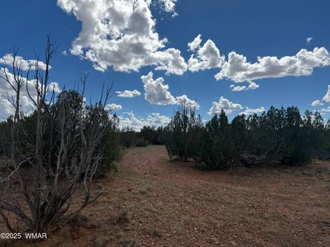 Tiny photo for TBD Falcon Drive, Taylor, AZ 85939 (MLS # 257999)